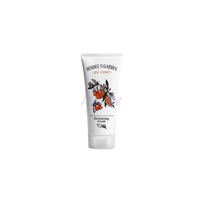 Goji Cream - cream for rejuvenation in Kursenai