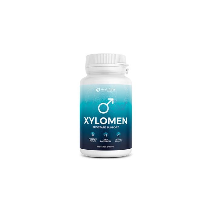 Xylomen - capsules for prostatitis In the Czech Republic